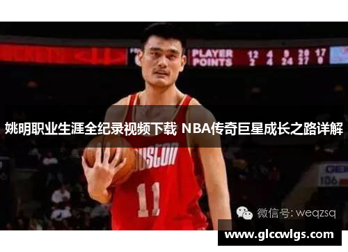 姚明职业生涯全纪录视频下载 NBA传奇巨星成长之路详解